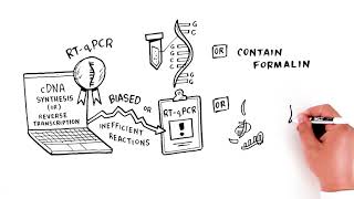 Reliance Select cDNA Synthesis Kit Overcome Challenging Samples [upl. by Aihcila]