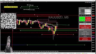 Forex ao Vivo Cortes do Vovô 23 [upl. by Asoj]