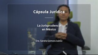 La Jurisprudencia en México IIJUNAM [upl. by Ahtinak907]