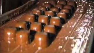 How Its Made Assorted Chocolates [upl. by Ehtyde]