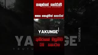 අභිරහස් වලව්ව 08 කොටස  sinhala holman katha sinhalaholmankatha horrortok viral foryou [upl. by Animahs355]