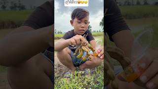 Eat tamarindញ៉ាំអំពិល🥵🤤 food eat [upl. by Holladay787]