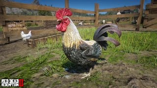 Java Rooster Location 1  Emerald Ranch  RDR2 [upl. by Nasar]