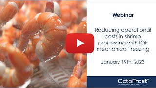 OctoFrost™ Webinar Teaser Reduce operating costs in shrimp processing with IQF mechanical freezing [upl. by Sebbie]