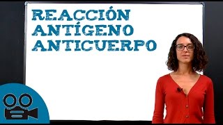 Reacción antígeno anticuerpo [upl. by Aniela865]