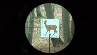 Swarovski Z6i gen2 2515x56 P BT L reticle 4AI subtensions [upl. by Latimer16]