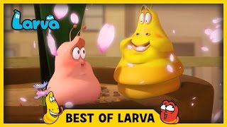 LARVA  BEST OF LARVA  Cartoons  Comics  LARVA 2017 WEEK 14 [upl. by Lothario562]