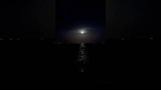 Island moonlight and sound of waves zonqormarsascala maltaisland [upl. by Suanne]