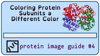 Protein Structure Imaging 4 coloring the subunits of hemoglobin [upl. by Noelle]