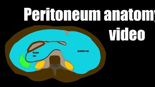 Peritoneum anatomy video [upl. by Joby]