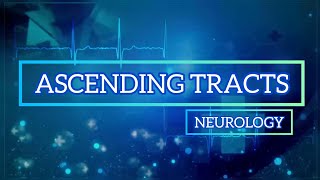 🩺20 ASCENDING TRACTS  NEUROLOGYmalayalam medical viral [upl. by Edelsten]