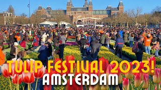 🌷HOW WE CELEBRATE THE NATIONAL TULIP DAY IN AMSTERDAMNETHERLANDS 🇳🇱  FREE TULIPS MUSEUMPLEIN [upl. by Leehar448]