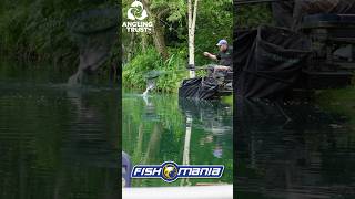 FishOMania 2024 Weston Pools matchfishing carp fishing outdoors [upl. by Atiuqaj]