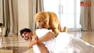 Akshay Kumar Quarelling With Ritesh Deshmukh Comedy Scenes  Entertainment  Hindi Film [upl. by Pan208]