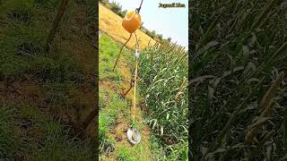 bajare se chidiya udane ka free energy jugaad  Zero kharcha shorts jugaad agriculture [upl. by Fabi]