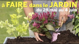 QUE FAIRE DANS VOTRE JARDIN DU 28 MAI AU 4 JUIN  LES BONS CONSEILS PRATIQUES DE PATRICK ET ROLAND [upl. by Ardnasak]