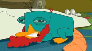 Perry Growl  Phineas and Ferb  Disney Channel Official [upl. by Kimmie279]