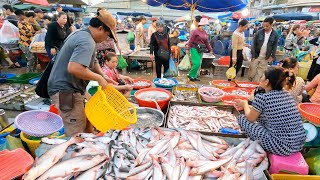 Best Wholesale Fish Market amp Seafood In Cambodia  Massive Fish Distribution Site amp Vendors Life [upl. by Ttehr253]