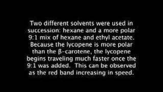 Chromatography Observed at 128x Speed [upl. by Hock]