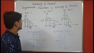 Price elasticity of demand chapter 6 microeconomics Part 2 Theory portion [upl. by Adallard]