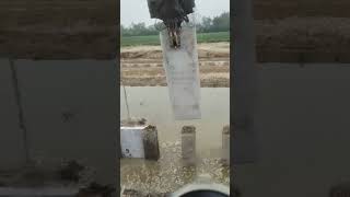 River embankment cofferdam cement board installation process [upl. by Felise]