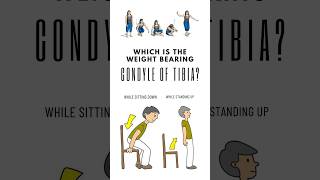 Which is the weight bearing condyle of tibia While planning to sit down and stand up shorts [upl. by Zephaniah]