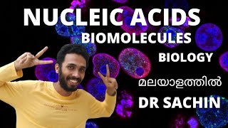 nucleic acids  biomolecules  malayalam  class 11  nucleotides  nucleosides  knowledge vlogger [upl. by Recnal601]