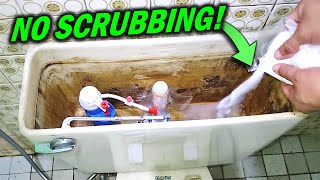 Clean Toilet Tanks without Scrubbing How to Use Citric Acid [upl. by Airitac198]