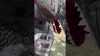 Say Hi To Gomora 🙃 gomora ultraman kaiju monster shorts fyp feed remix animangaki mines [upl. by Stannwood]