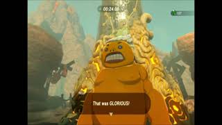 Gorae Torrs Blessing  The Legend of Zelda Breath of the Wild  Episode 257  First Playthrough [upl. by Nomyad]