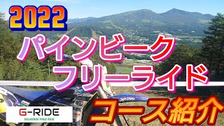 2022 パインビークフリーライド 事前コース紹介 GRIDE [upl. by Molohs]