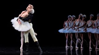 Musicians Insights Cordula Merks on Swan Lake [upl. by Averil865]