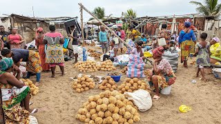 Rural market day in Togo Aflao market where Nigerians  Ghanaian and Togolese shop in west Africa 🌍 [upl. by Luthanen]