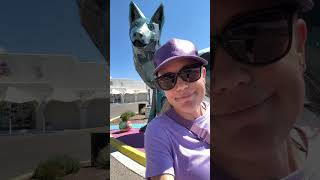 Exploring the Meow Wolf Art Installation in Santa Fe [upl. by Labotsirhc]