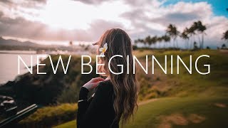 SkHall amp Ludwiig  New Beginning Lyrics Alan Walker Style [upl. by Hteik219]