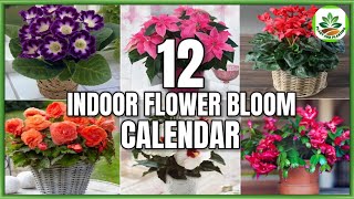 12 Indoor Flower Plants That Bloom According to 12 Months  Flower Bloom Calendar PlantandPlanting [upl. by Atekan]