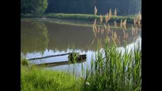 Naturgeräusche am Waldweiher [upl. by Eissoj]