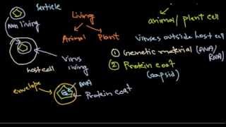 1 virus structure introduction [upl. by Eseyt]