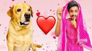 Leo ki Dulhan  Shaddi prank on my dog  Anant Rastogi [upl. by Lawler651]