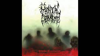 Mental Demise  Psycho Penetration  Credo Quia Absurdum Full Compilation [upl. by Nyrtak]