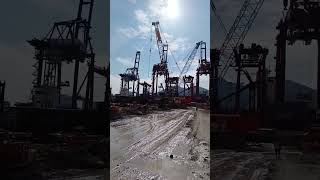 Hong Kong 🏗️ automobile cranemachine hongkong machine excavator crane construction concrete [upl. by Dnyletak]