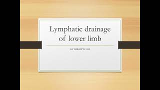 Lymphatic Drainage of Lower Limb PPT Slide Presentation [upl. by Coulter503]