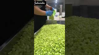 Candy crush green Candy crush Candy USA China India Europe Korea South KoreaNew Dubai [upl. by Annmaria]