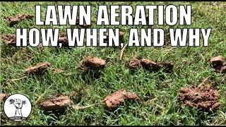 How to Aerate a Lawn  How Why and When to Aerate  Lawn Aeration [upl. by Seidnac836]