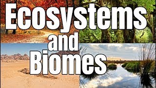 Ecosystems and Biomes  Classroom Learning Video [upl. by Theodoric460]