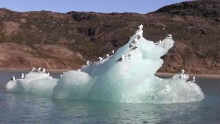 The Beauty of Svalbard in Five Minutes [upl. by Tingley45]