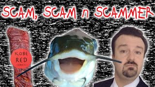 The Forgotten amp Failed Scams of the Innocent Internet [upl. by Nyleda]