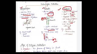 class 10 life processes heterotrophic nutrition [upl. by Philina]