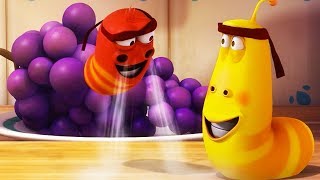 LARVA  LEVITATION  Cartoon Movie  Cartoons  Comics  Larva Cartoon  LARVA Official [upl. by Akzseinga]