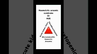 quotUnderstanding Haemolytic Uraemic Syndrome Types and Symptoms Explainedquot [upl. by Hannis428]